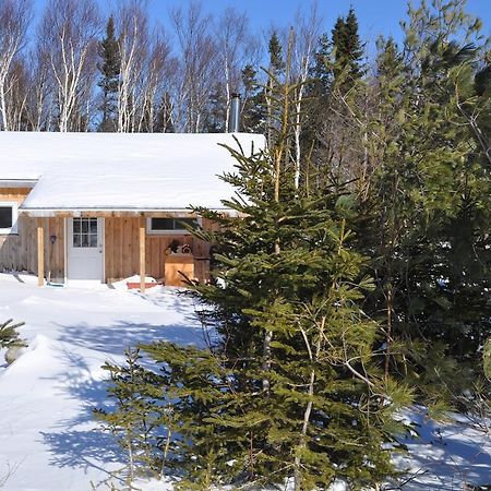 The Sleeping Moose Cottage Birch Plain Экстерьер фото
