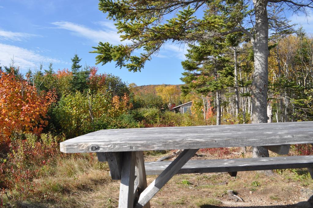 The Sleeping Moose Cottage Birch Plain Экстерьер фото