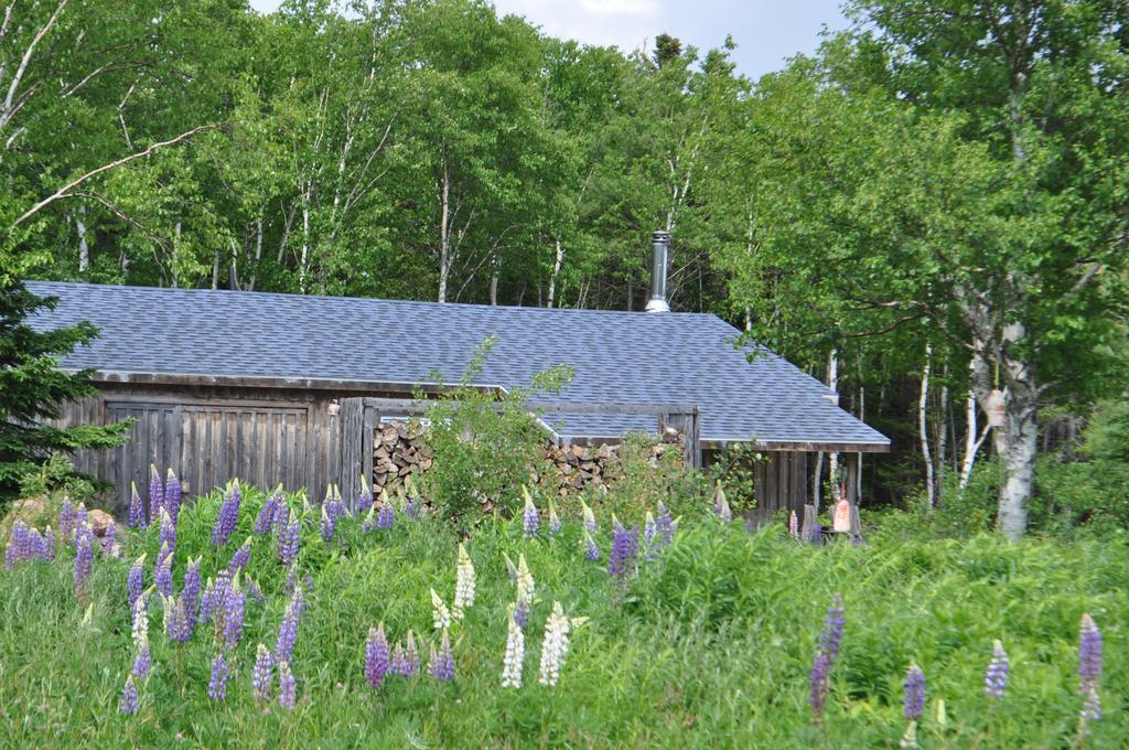 The Sleeping Moose Cottage Birch Plain Экстерьер фото