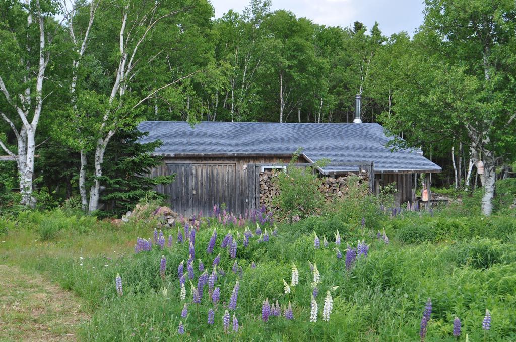 The Sleeping Moose Cottage Birch Plain Экстерьер фото