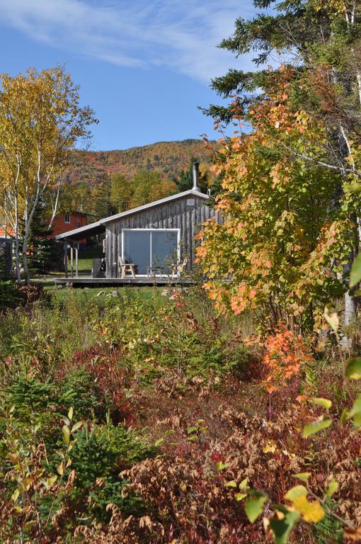 The Sleeping Moose Cottage Birch Plain Экстерьер фото